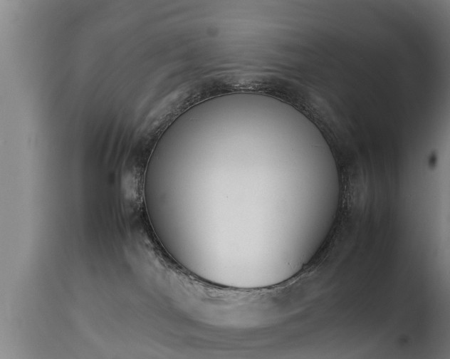 X0000112850044200908281614