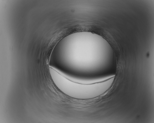 X0000112850045200908281614