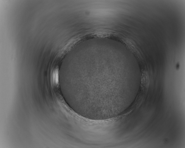 X0000112850046200908281614