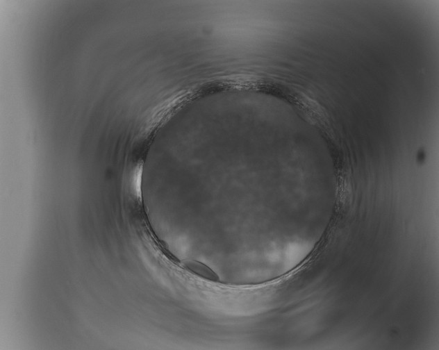 X0000112850047200908281614