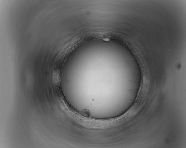 X0000112850048200908281614