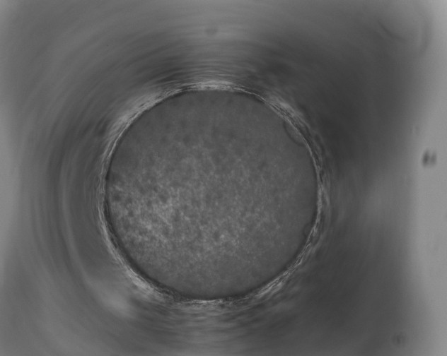 X0000112850049200908281613