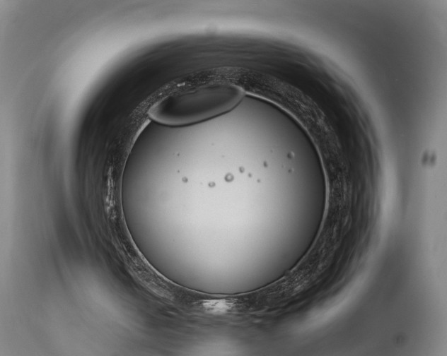 X0000112850050200908281613