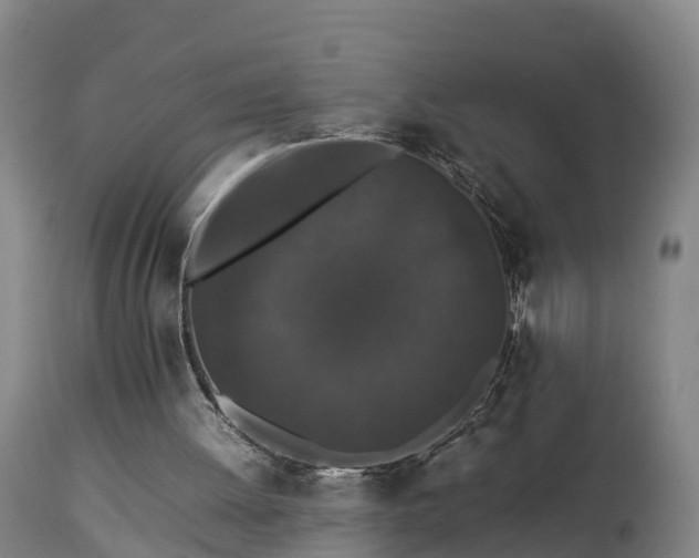 X0000112850052200908281613