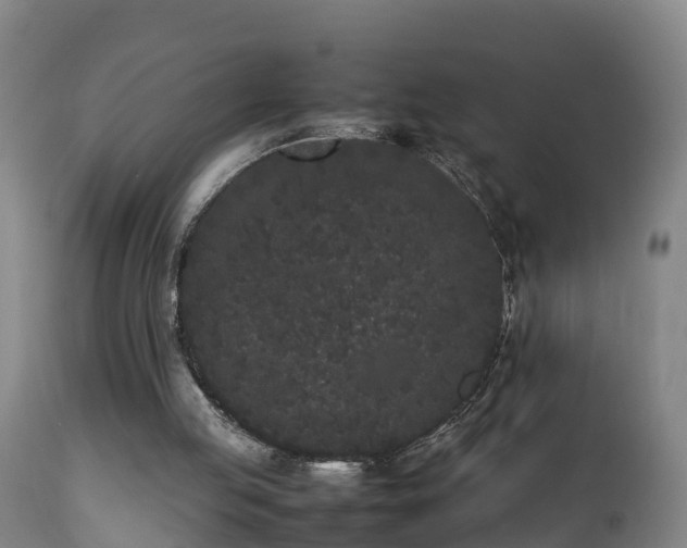 X0000112850053200908281613