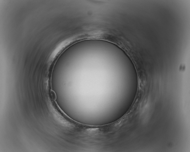 X0000112850054200908281613