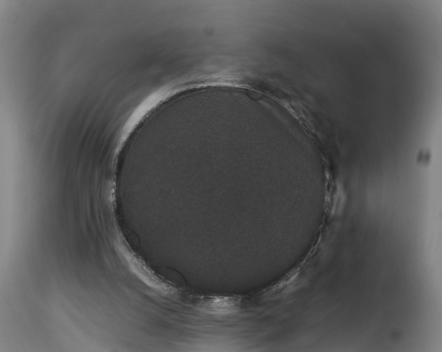 X0000112850056200908281613