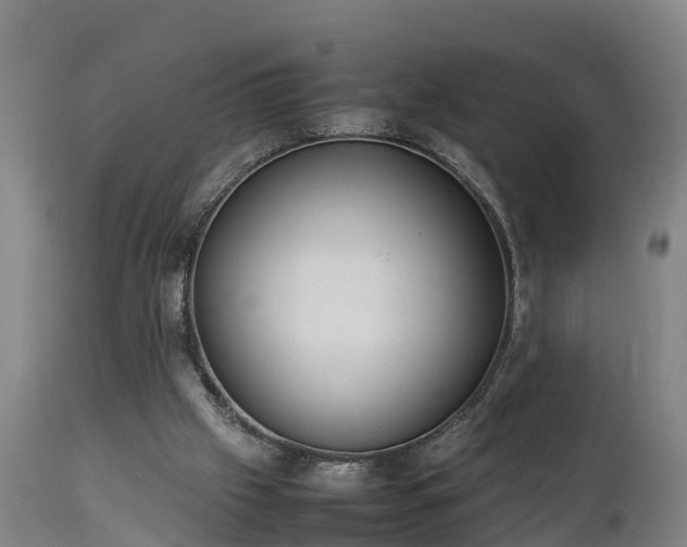 X0000112850057200908281613