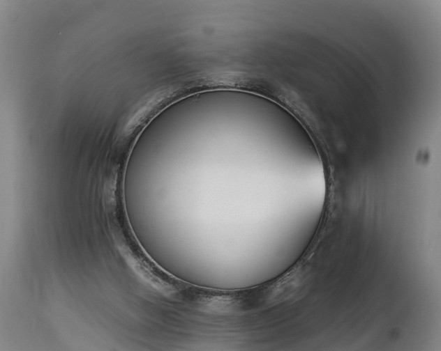 X0000112850058200908281613