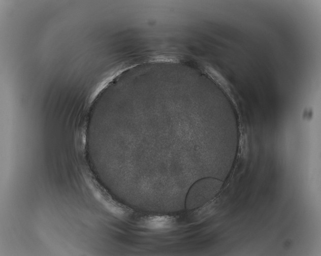 X0000112850059200908281613