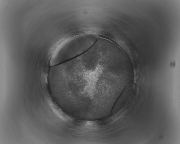 X0000112850060200908281613