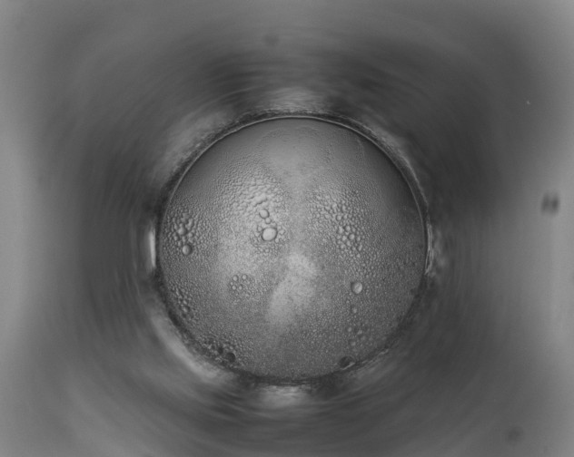 X0000112850061200908281613