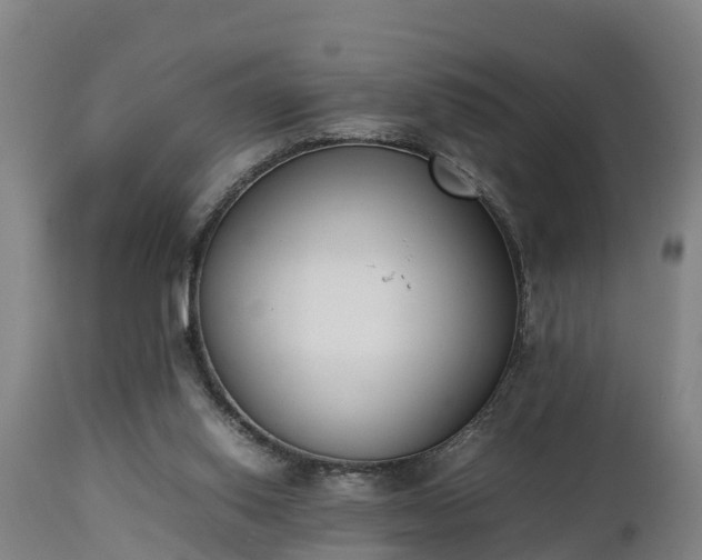 X0000112850062200908281613