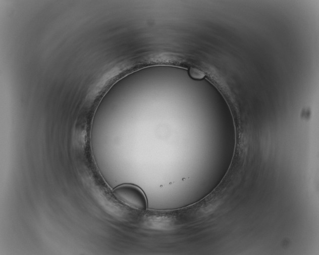 X0000112850063200908281613