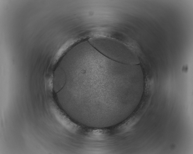 X0000112850064200908281613