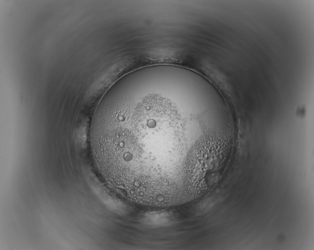 X0000112850065200908281613