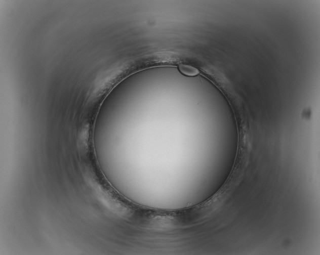 X0000112850066200908281613