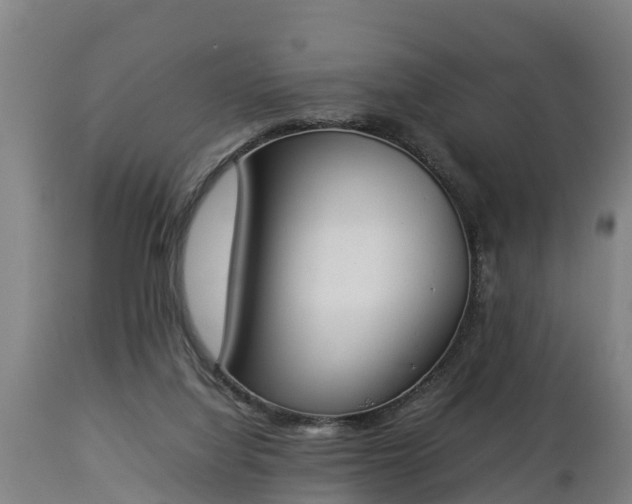 X0000112850068200908281613