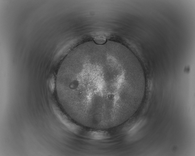 X0000112850069200908281613