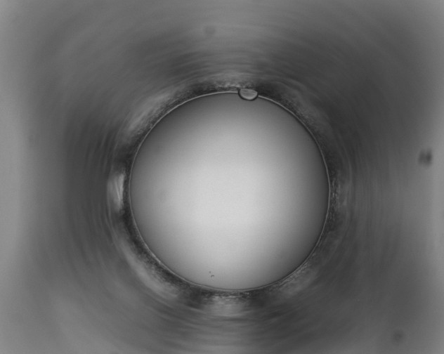 X0000112850070200908281613