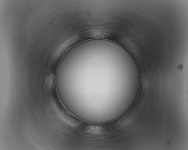 X0000112850071200908281613