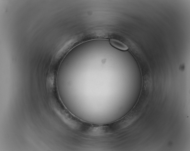 X0000112850072200908281613