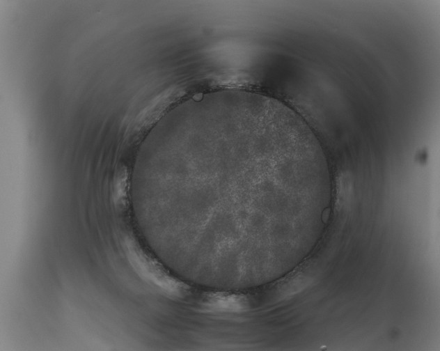 X0000112850073200908281613