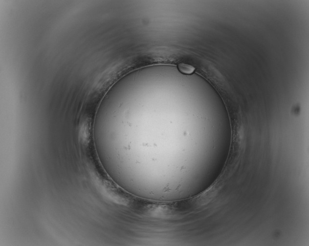 X0000112850074200908281613