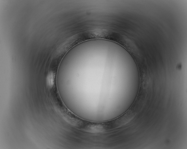 X0000112850075200908281613