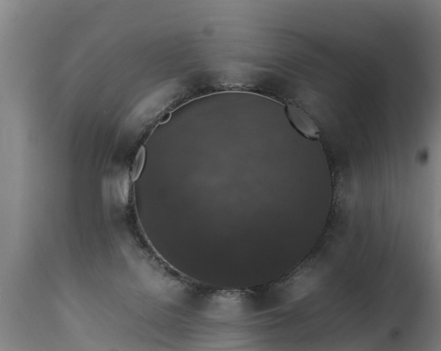 X0000112850076200908281613