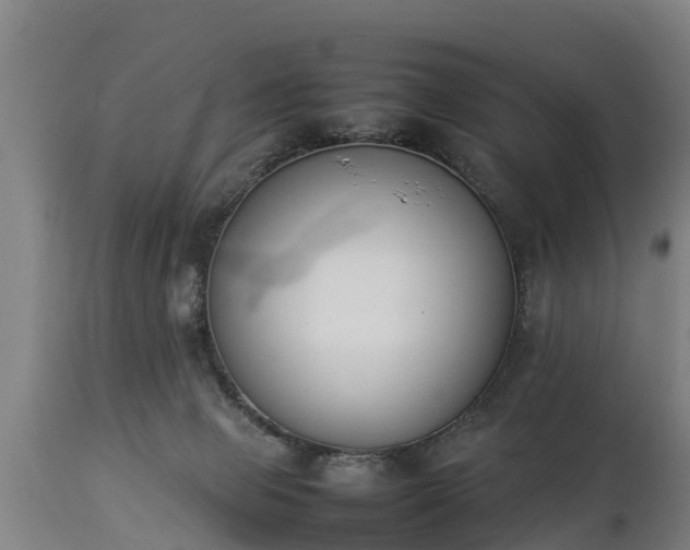 X0000112850077200908281613