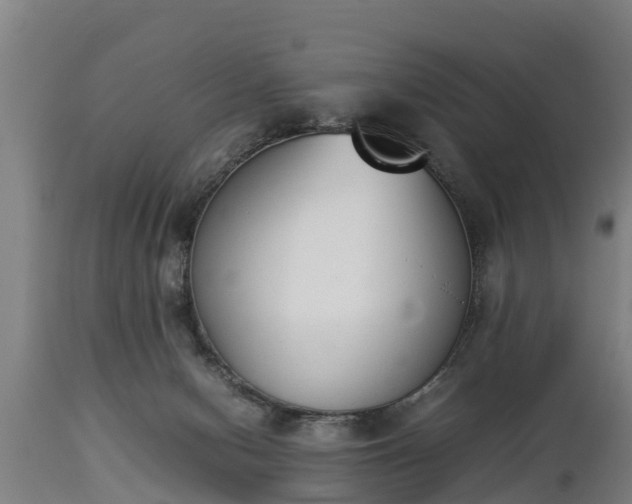 X0000112850078200908281613