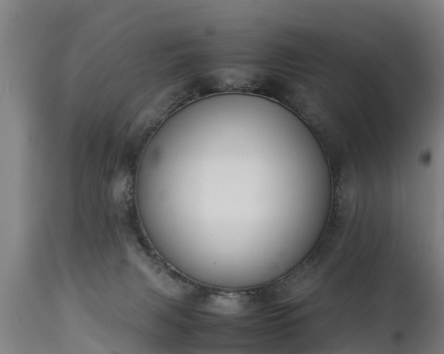 X0000112850079200908281613