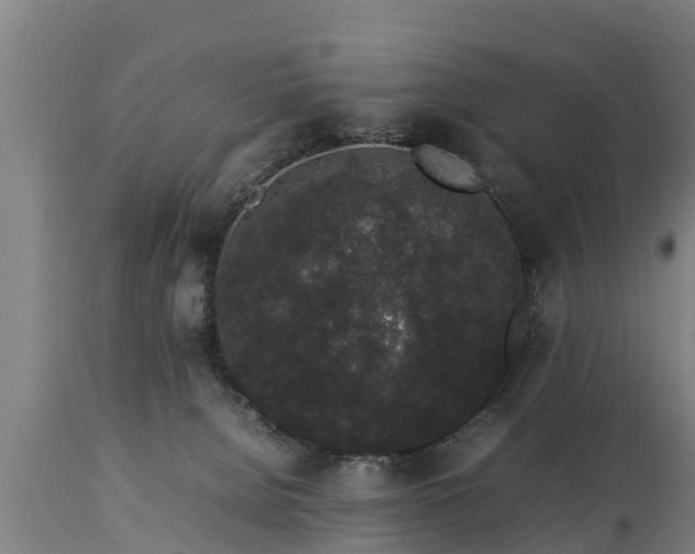 X0000112850080200908281613