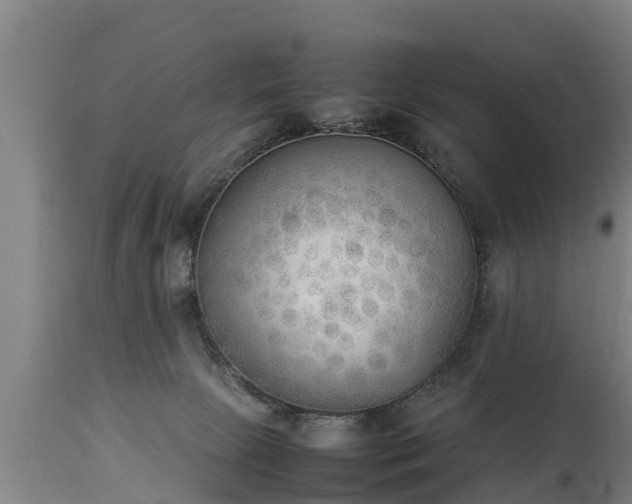 X0000112850081200908281613