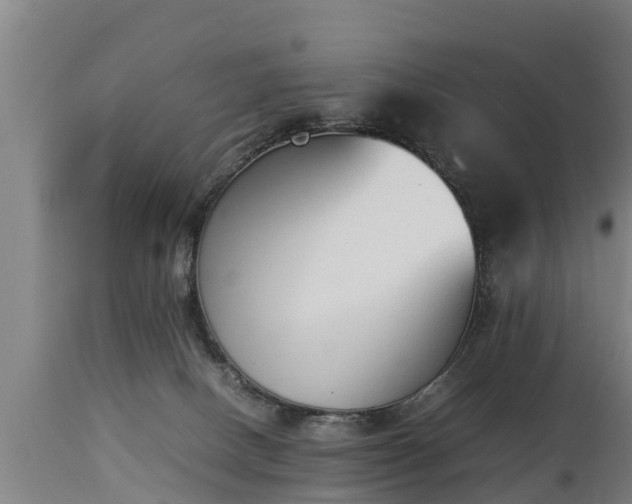 X0000112850082200908281613