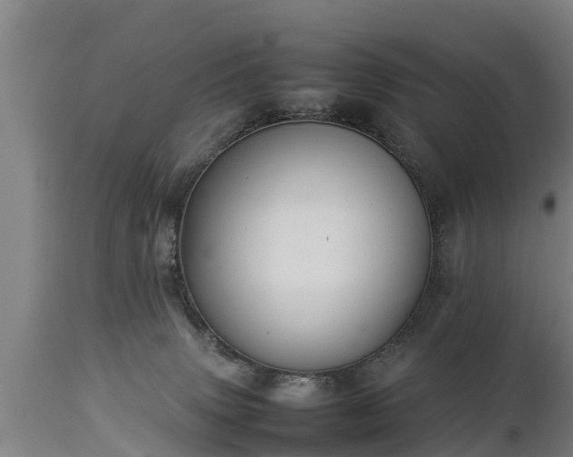 X0000112850083200908281613