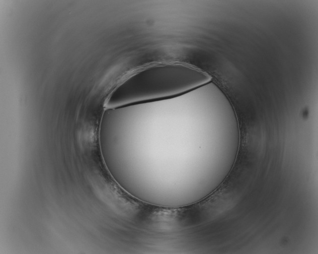 X0000112850084200908281613