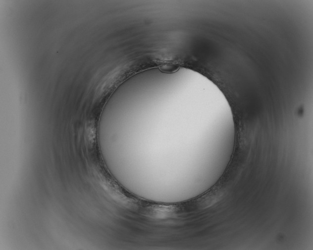 X0000112850085200908281613