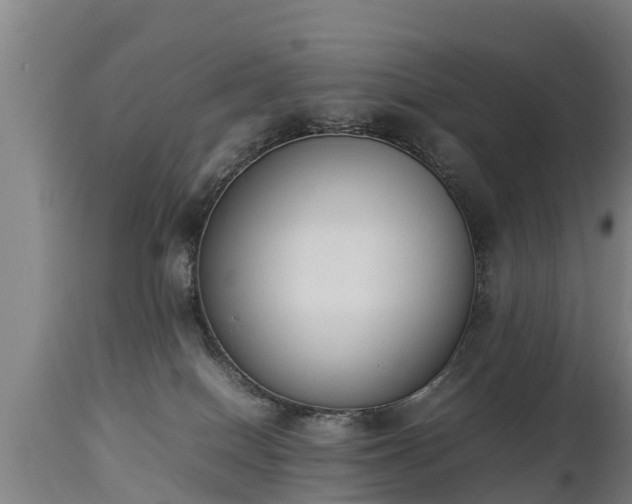 X0000112850086200908281613