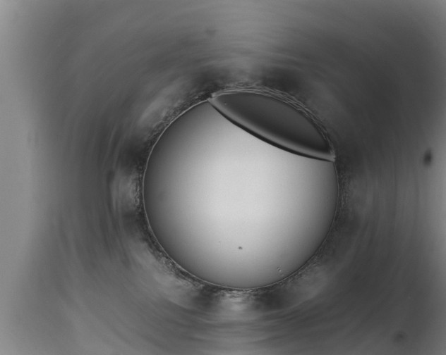 X0000112850088200908281613