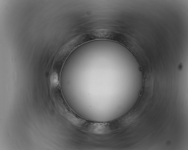 X0000112850089200908281613