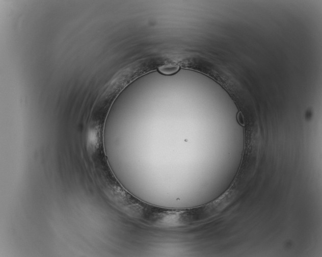 X0000112850090200908281613