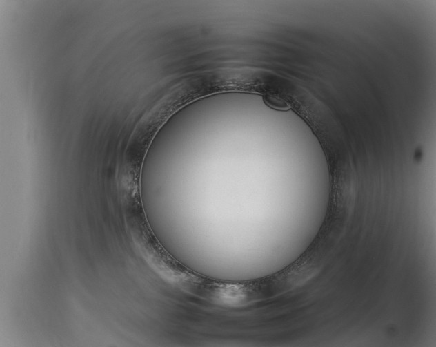 X0000112850091200908281613