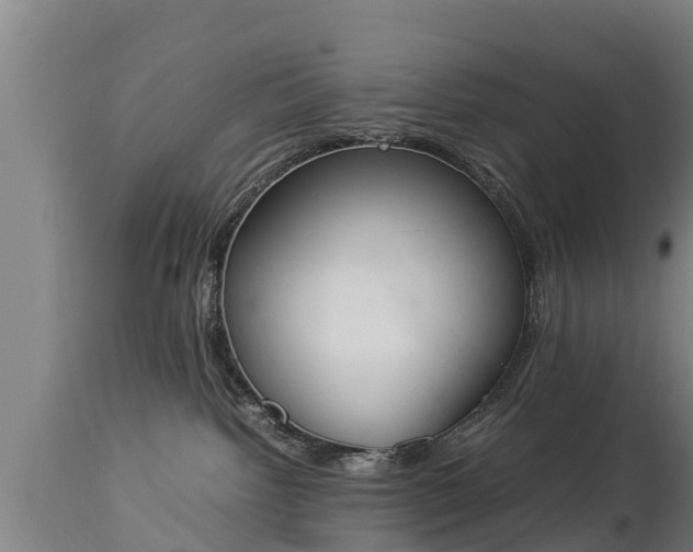 X0000112850092200908281613