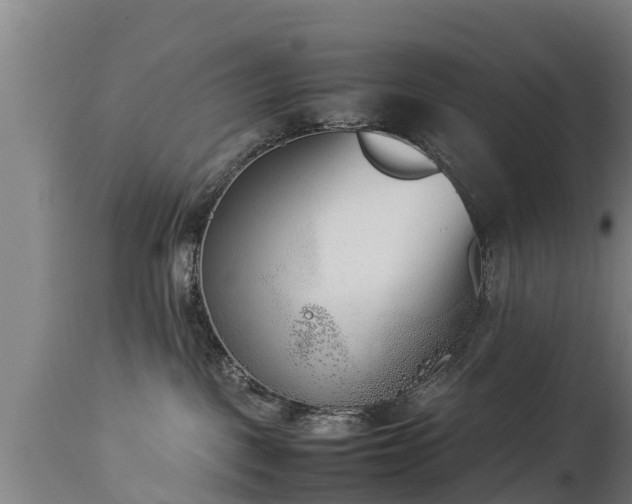 X0000112850093200908281613