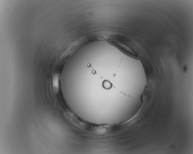 X0000112850094200908281613