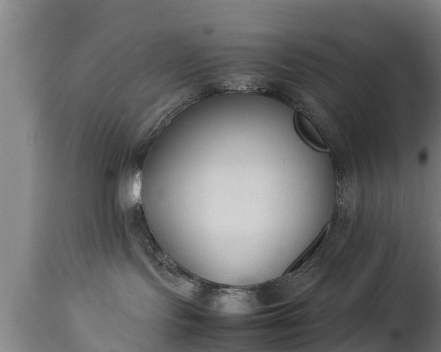 X0000112850095200908281613