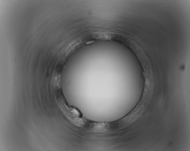 X0000112850096200908281613