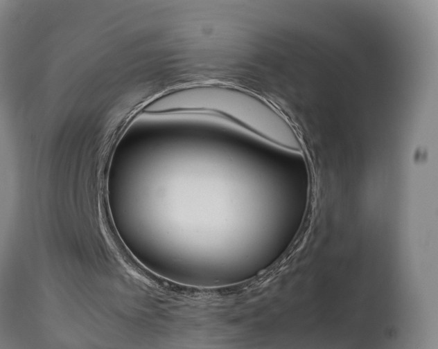 X0000112850097200908281613